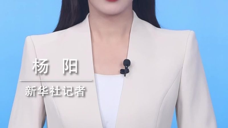 数据中心运维服务流程报价揭秘：如何精准评估成本与价值